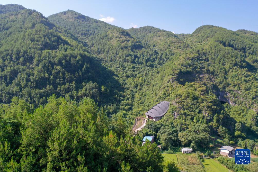 金葫芦888游戏下载
